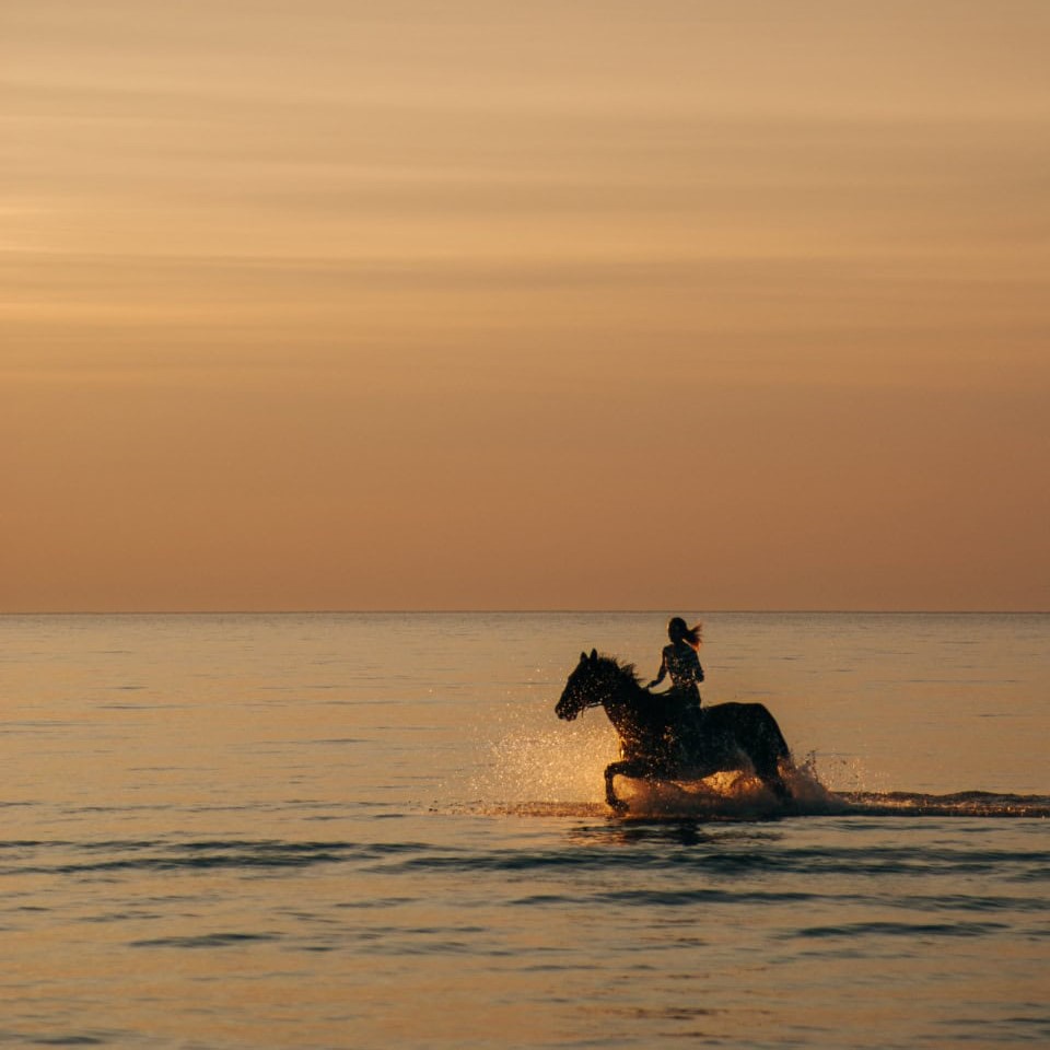 Un cavallo beve luce, il mare trattiene il respiro, e il giorno se ne va al galoppo verso il silenzio.
