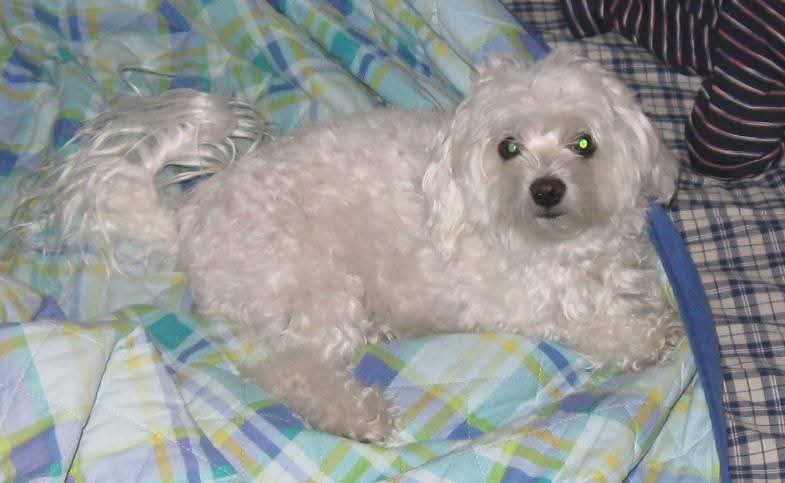 Casa è dove qualcuno ti aspetta senza chiedere nulla