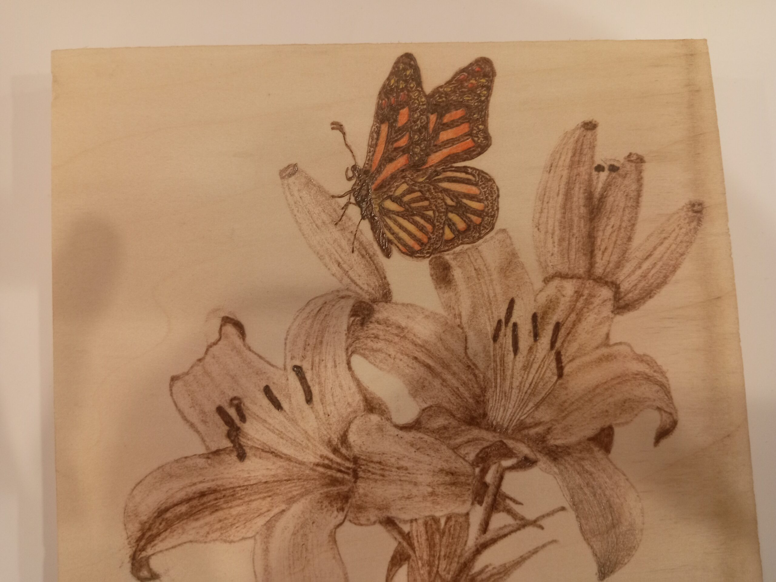 La delicatezza impara a restare